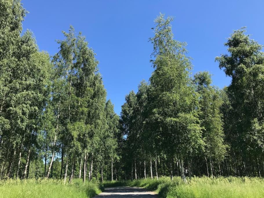 Stort Hus I Porsgrunn Sentrum Med Gangavstand Til "Alt" & Gratis Parkering Til Flere Biler 외부 사진
